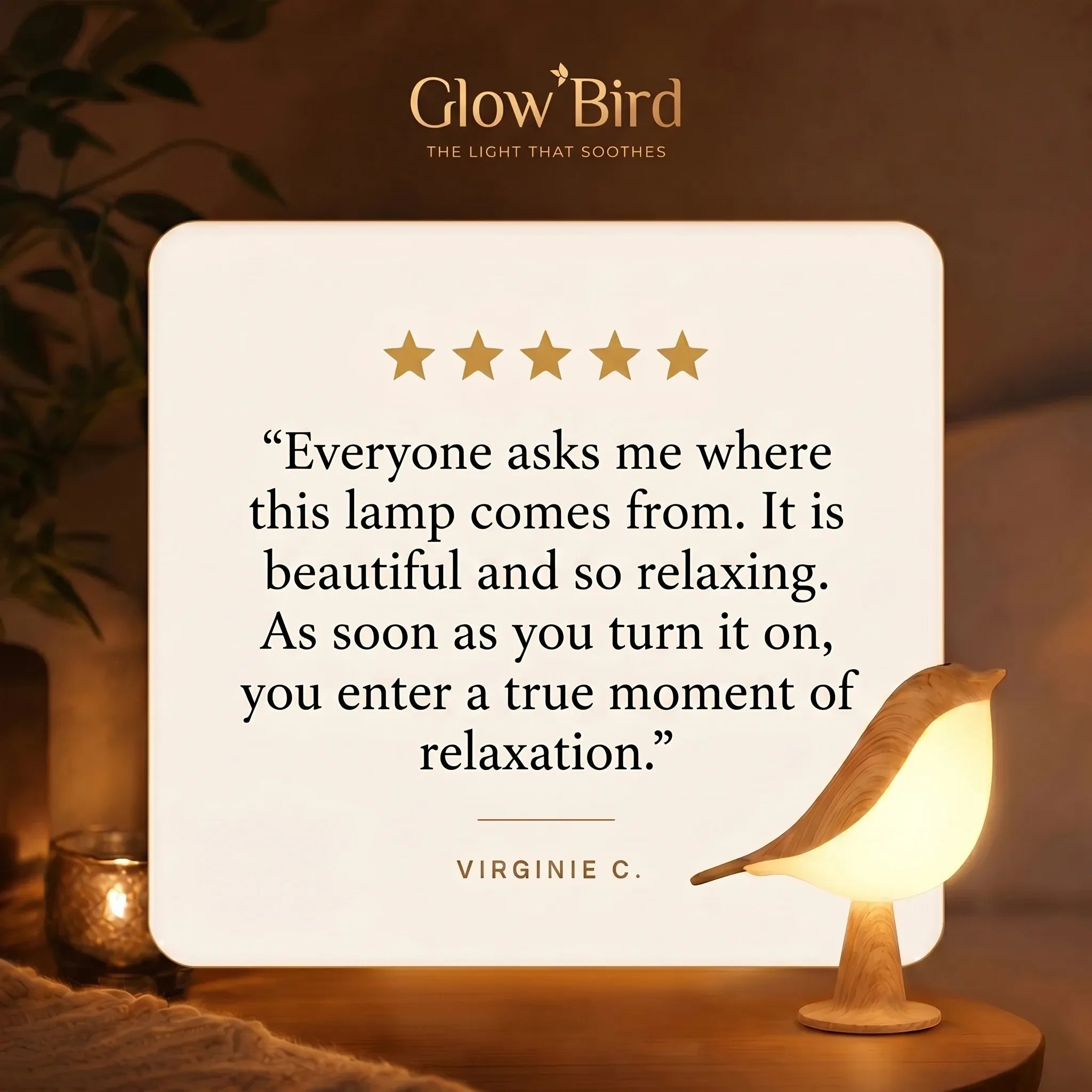 https://cdn.dropmagic.ai/medias/7916eb46-ea8b-4da4-8059-15bf8cc734bb.webp